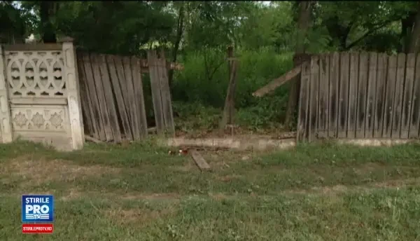 Soferul unei ambulante private a incercat sa evite un caine, dar a pierdut controlul volanului. Pacienta a murit pe loc