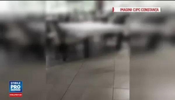 Carne de pui veche de 7 ani, gasita intr-un restaurant din Mamaia. Cum a incercat patronul sa-i intimideze pe inspectori