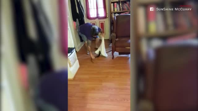 Ce a facut o femeie cand s-a trezit in bucatarie cu un sarpe de 2 metri. Singurul lucru la indemana a fost o fata de perna