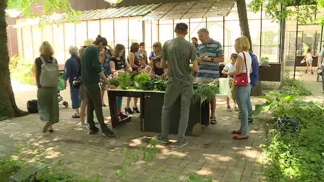 Gradina Universitarilor, redeschisa dupa 25 de ani, la Festivalul Street Delivery. Tema editiei din acest an
