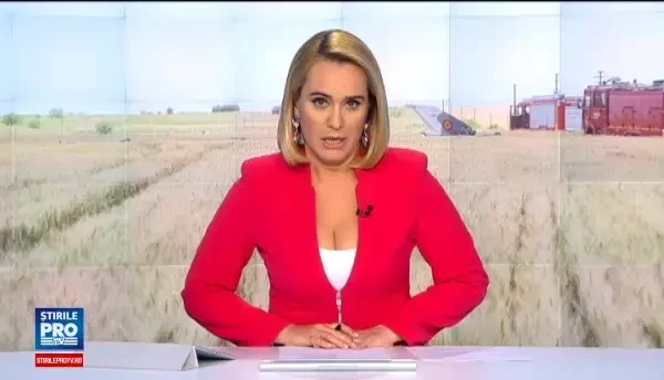 Un avion MIG 21 Lancer s-a prabusit in Constanta. Pilotul nu isi simte picioarele, iar marti va fi operat