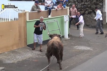Era atat de concentrat sa filmeze un taur fioros incat nu a realizat ca se indreapta inspre el. Ce a urmat. VIDEO