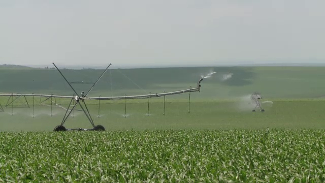 Uniunea Europeana ofera 157 de milioane de euro, nerambursabili, pentru irigatii. Banii vor ajunge pentru 60.000 de hectare