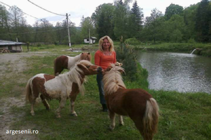 Doi ponei au fost furati de la o pensiune din Arges. Satenii spun ca sunt obisnuiti cu furtul de animale
