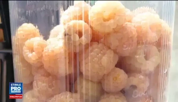 Zmeura, preferata agricultorilor anul acesta. Un fermier a scos un profit de 15.000 de euro cu numai 50 de euro investiti