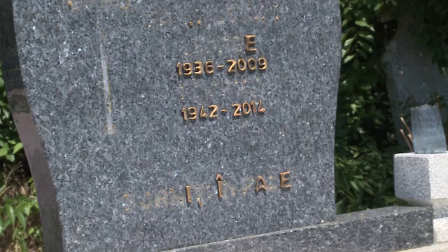 Politistii din Arad si Oradea, pusi in fata unor cazuri inedite. Ce fura, mai nou, hotii din cele doua orase