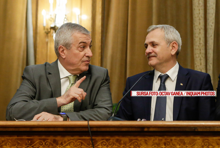 Dragnea și Tăriceanu vor înființarea unei instituții care să administreze Casa Regală