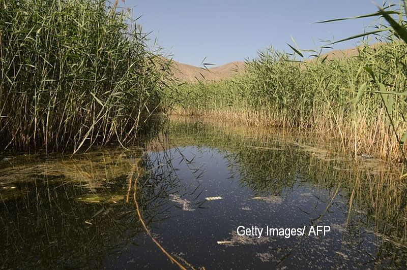 Doi tineri care intretineau relatii intime intr-o masina, langa un lac, au fost gasiti morti. Ce au constatat politistii
