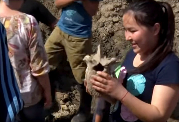 Resturile unei creaturi misterioase, gasite de un grup de elevi. "L-au descoperit din cauza mirosului foarte puternic"