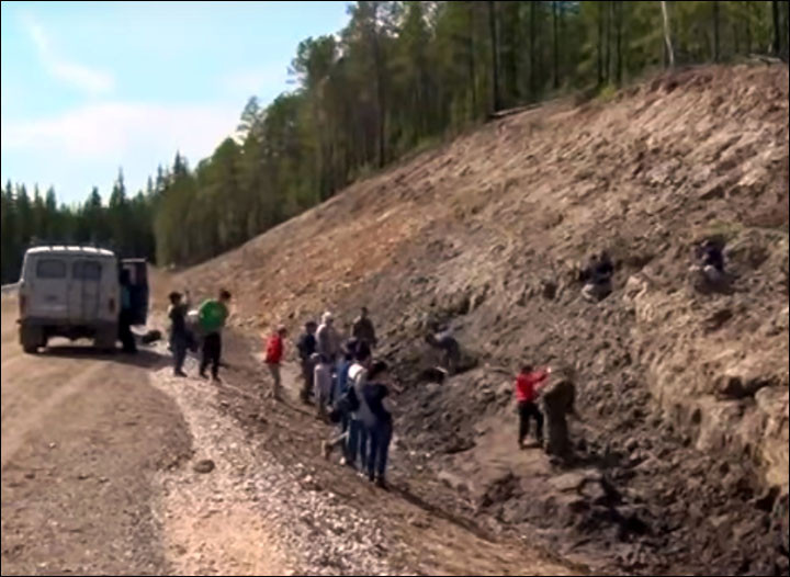 Descoperire antica in Siberia