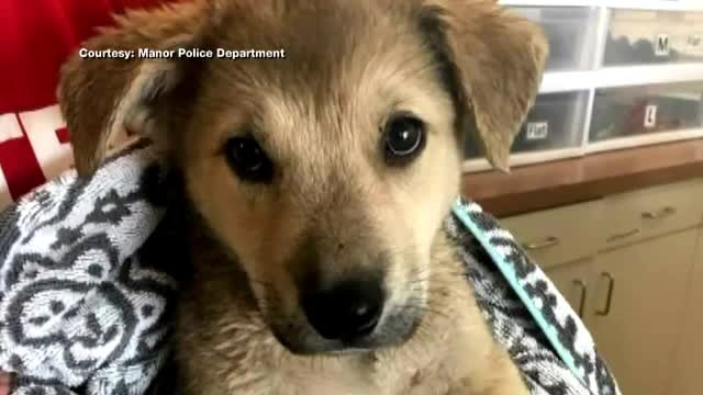 Un american si-a lasat cainele in masina, in plina canicula, cu aerul conditionat inchis. Explicatia "trista" a gestului sau