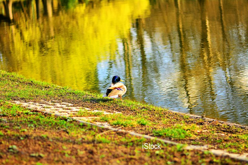 Miercuri, pe litoral vor fi 30 de grade C, iar la munte s-ar putea sa cada grindina. Prognoza pentru urmatoarele 3 zile