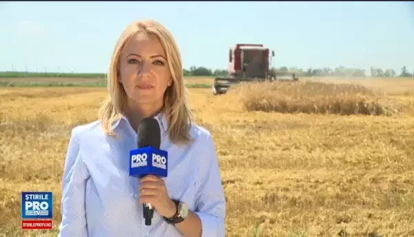 Romania a redevenit granarul Europei: exporturile de cereale sunt cele mai mari din UE. Semnalul de alarma tras de fermieri