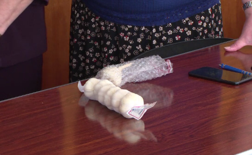 Usturoiul romanesc VS cel chinezesc. Ce s-a descoperit in cel strain la o analiza de laborator