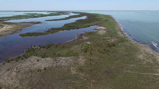 Musura si Sacalin, cele mai noi insule din Delta Dunare, ofera peisaje ca-n Maldive. Cum pot fi vizitate si ce gasiti aici