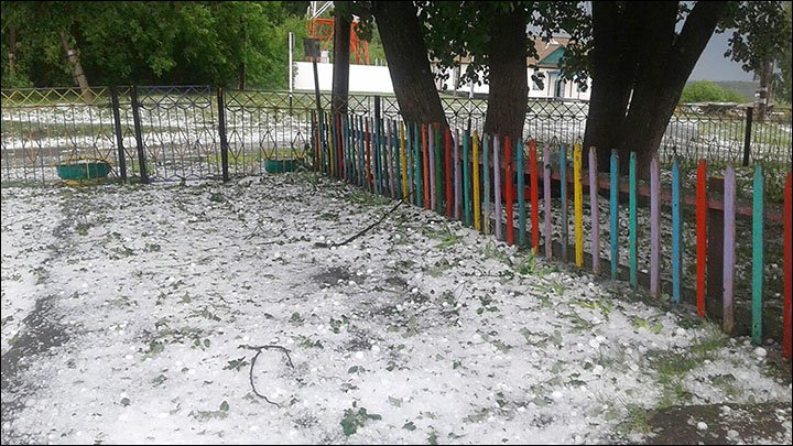grindina siberia
