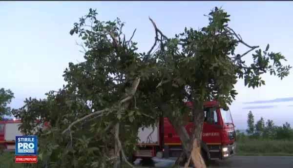 Un om de afaceri din Buzau a murit ars de viu, intr-un Lexus. Martor: Striga la noi 'scoate-ma si pe mine'