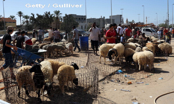 Localnici ingroziti in Africa de Sud, dupa nasterea unei creaturi "jumatate om, jumatate miel". Care e explicatia stiintifica