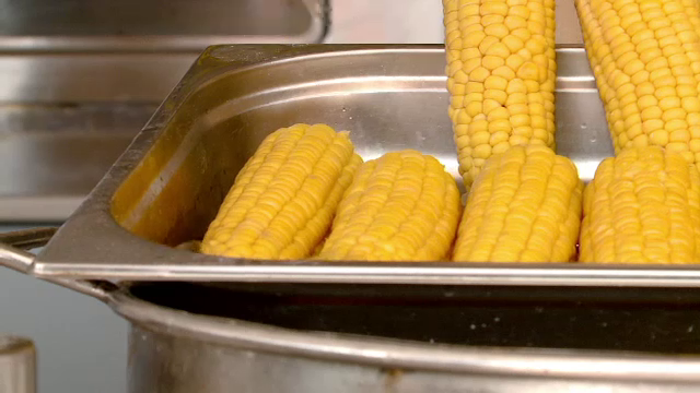 Un soi nou de porumb dulce ocupa suprafete din ce in ce mai importante de teren. Agricultorii il prefera in locul rosiilor