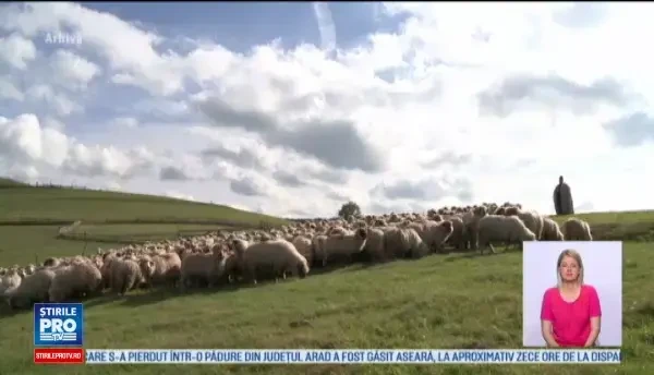 Copil ranit in poligonul militar din Cincu. Si-a construit singur din resturile gasite un dispozitiv artizanal