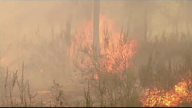 Incendiile de vegetatie, in sudul Spaniei. Peste 1.500 de persoane au primit ordin de evacuare