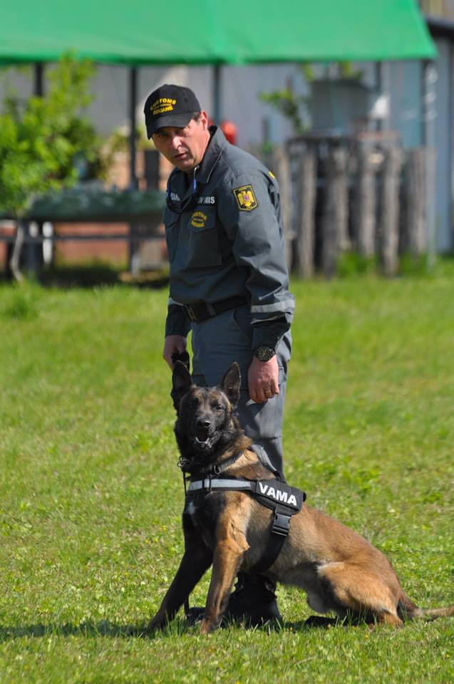 Unul dintre cei mai performanti caini ai Vamii a ajuns la varsta de pensionare