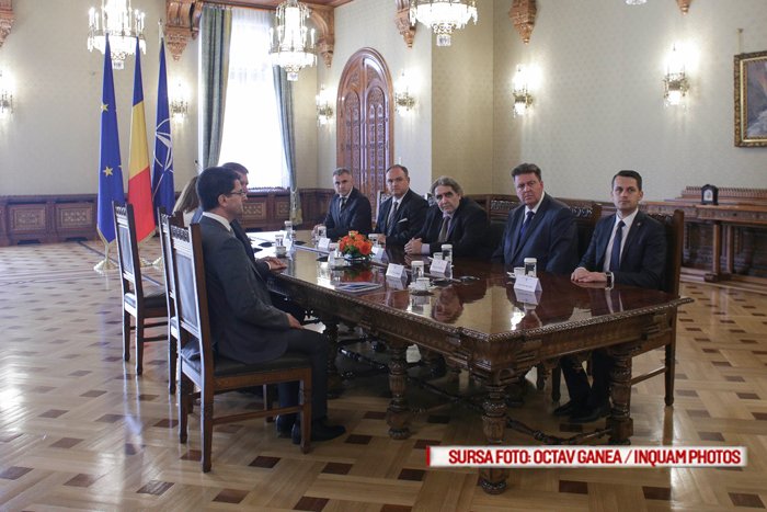 consultari cotroceni, minoritati
