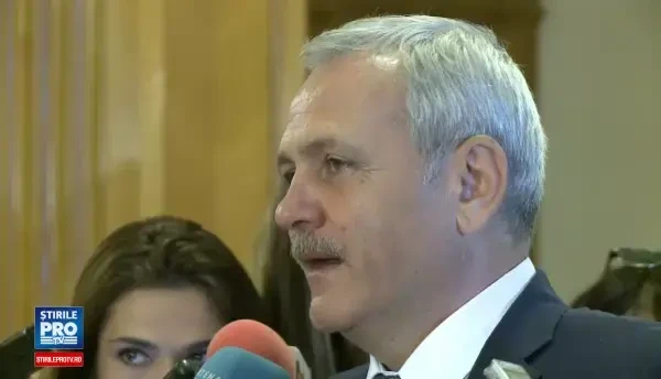 Sedinta in care PSD decide propunerea de premier a inceput. Dragnea: Au iesit 5-6 variante. Carmen Dan, printre ele