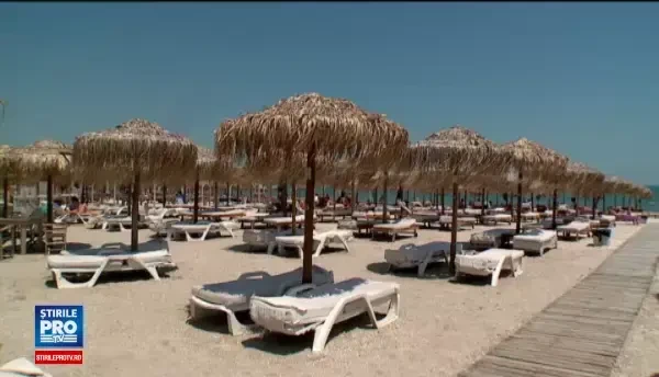 Mersul cu animalul de companie pe litoral, misiune grea. Doar 20 de hoteluri din 1.000 ii accepta pe prietenii necuvantatori