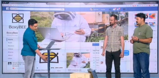 iLikeIT. Cativa senzori conectati la un stup si o aplicatie pentru telefonul mobil pot schimba complet apicultura