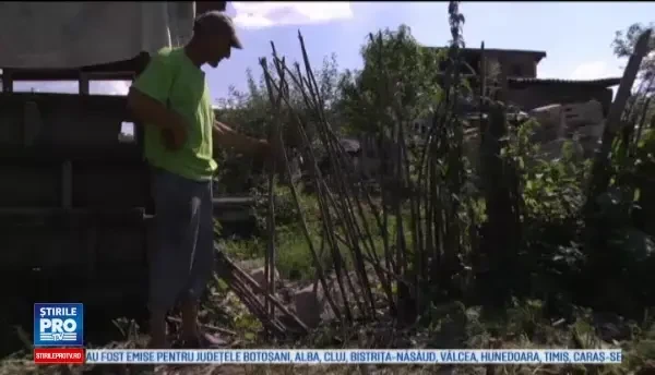 Un barbat din Dambovita, inarmat cu o coasa, a semanat groaza. Vecin: I-am vazut in curte cum se omorau cu coasele