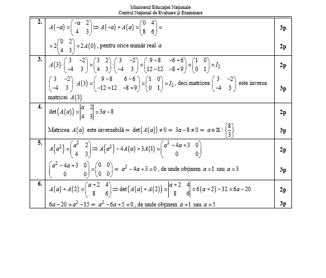 Matematica Pedagogic Barem