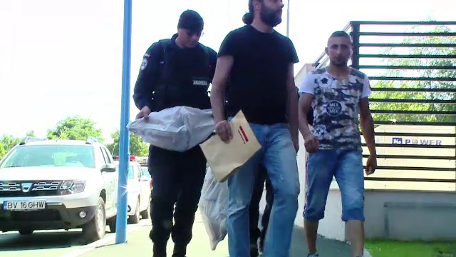 Padurari si specialisti in domeniul forestier, intr-o grupare care se ocupa cu taieri ilegale de lemn