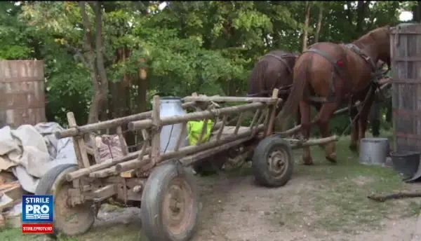 Accident stupid in Prahova. Un barbat a murit in bratele fiului sau, dupa ce a cazut din caruta
