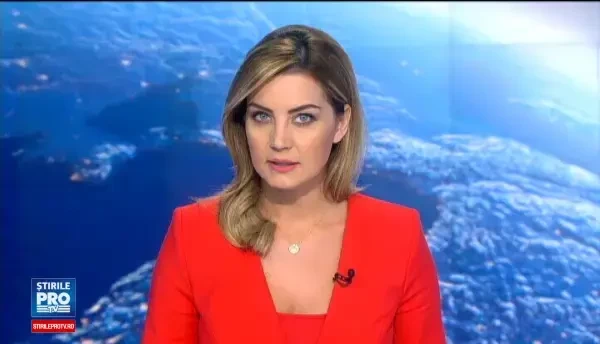 Padurari si specialisti in domeniul forestier, intr-o grupare care se ocupa cu taieri ilegale de lemn