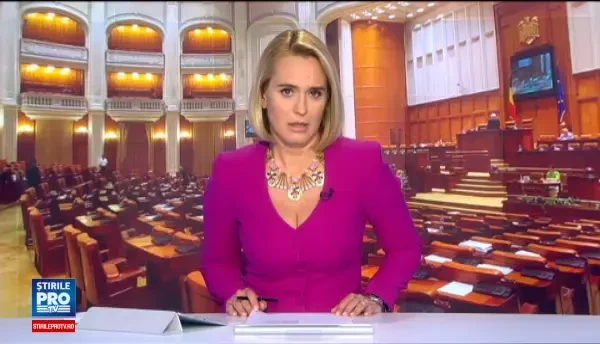 Grindeanu a reclamat la Curtea Constitutionala modul in care s-a desfasurat votul la motiunea care a demis guvernul sau