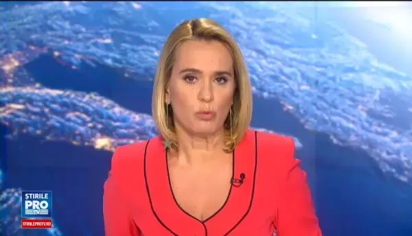 Primaria Capitalei va plati pentru castrarea cainilor si pisicilor de rasa comuna. Cat costa o adoptie la distanta