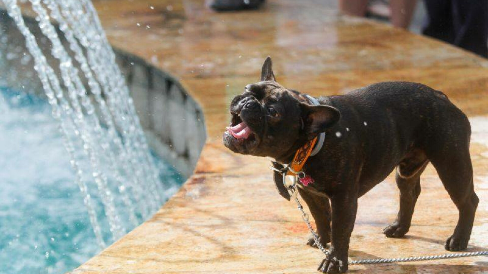 Cod rosu de canicula. Temperaturi record de 44 de grade