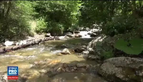 Poienile de pe Valea Rasnoavei, pline de turisti. Paraul a fost folosit drept frigider pentru mici si bere