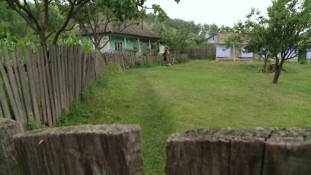 Un barbat din Iasi si-a ucis in bataie sotia, apoi s-a predat autoritatilor. Ce a facut in drum spre Politie