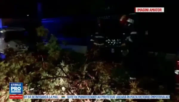 Furtuna a pus mai multi copaci la pamant, iar pompierii au intervenit toata noaptea. Meteorologii vin cu vesti proaste