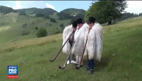 Masuratul laptelui, sarbatoarea cand ciobanii negociaza cu proprietarii de oi, a devenit o adevarata atractie turistica