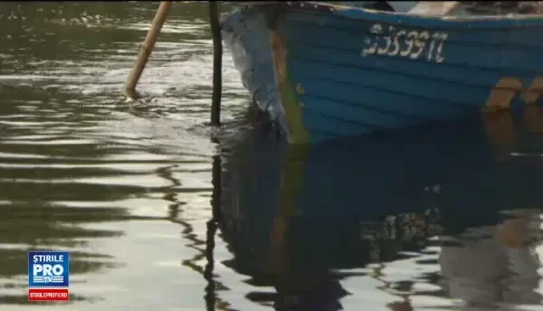 Atentie cand cumparati peste proaspat, necuratat! Ce este anisakis, parazitul care poate fi gasit in peste