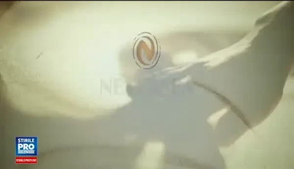 Neversea a dat peste cap preturile la cazare, pe litoral: Se inchiriaza si balcoanele. Cat costa camera si o noapte pe iaht