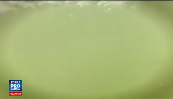 Un barbat de 38 de ani a murit inecat la Eforie Sud. Trupul unei fete de 11 ani, adus la mal dupa o saptamana