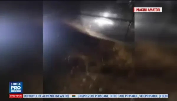 Un caine a fost impuscat mortal in Arges, iar stapanii dau vina pe vecinul lor. S-a eschivat pe undeva, prin niste craci