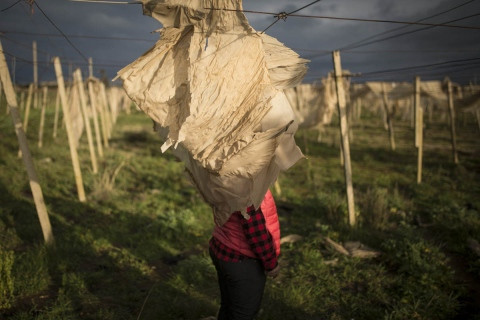 La Repubblica, la 2 ani dupa ancheta privind romancele din Sicilia: "Ne-am reintors. Si am gasit o situatie si mai proasta"