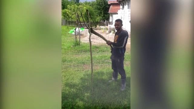 Judetul din Romania invadat de serpi si de peste 2 metri. "N-am mai vazut asa ceva”