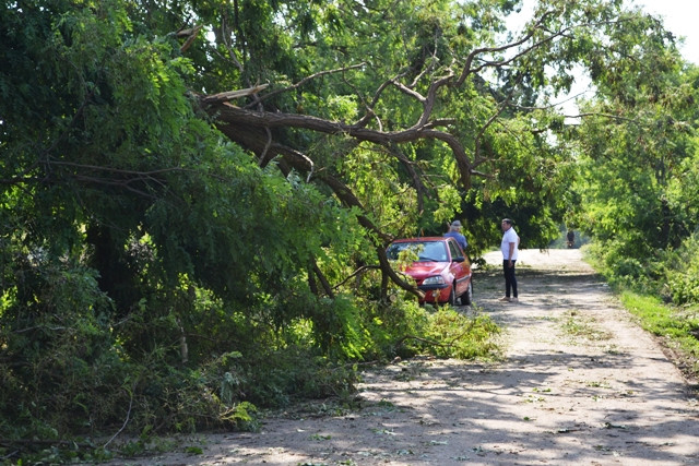 Acoperisuri smulse, copaci rupti si stalpi doborati de un vartej urias, in Neamt. ANM: "Vom avea tornade toata vara"