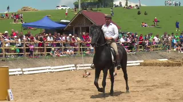 Distractie mare la Runcu, unde are loc Haidook Summer Fest. Pasionatii de echitatie pot admira caii de rasa